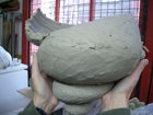 Coiled Shell Form in Progress