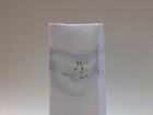 Birdsong Bone China Bag Vessel, height 18cm width 8.5cm
