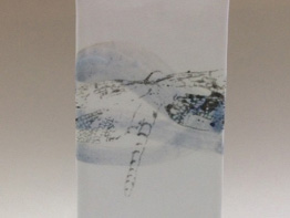 Dragonfly Bag Vessel - Private Collection