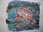 Porcelain sea shell panel - Private collection